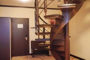 Парк-отель Голосеево. Делюкс двухместный  2