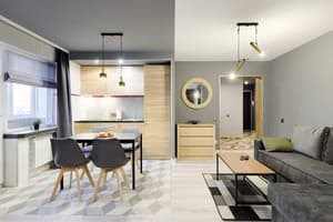 Квартира дизайнерская в центре на бульваре Леси Украинки 17. Апартаменты трехместный  9